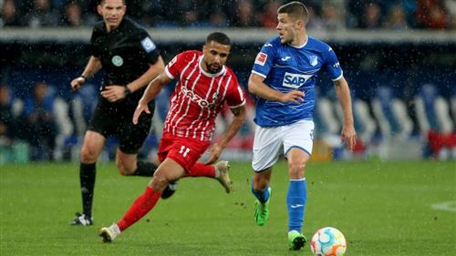 Casino Casio: Home Remodeling Guide